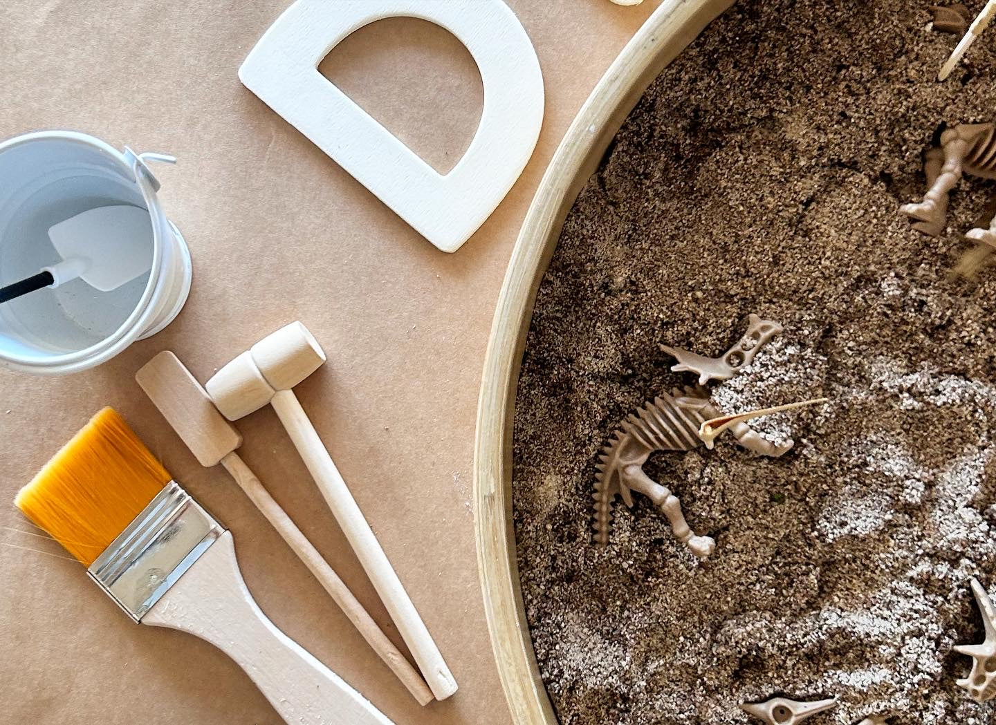 Dino Fossil Dig kit