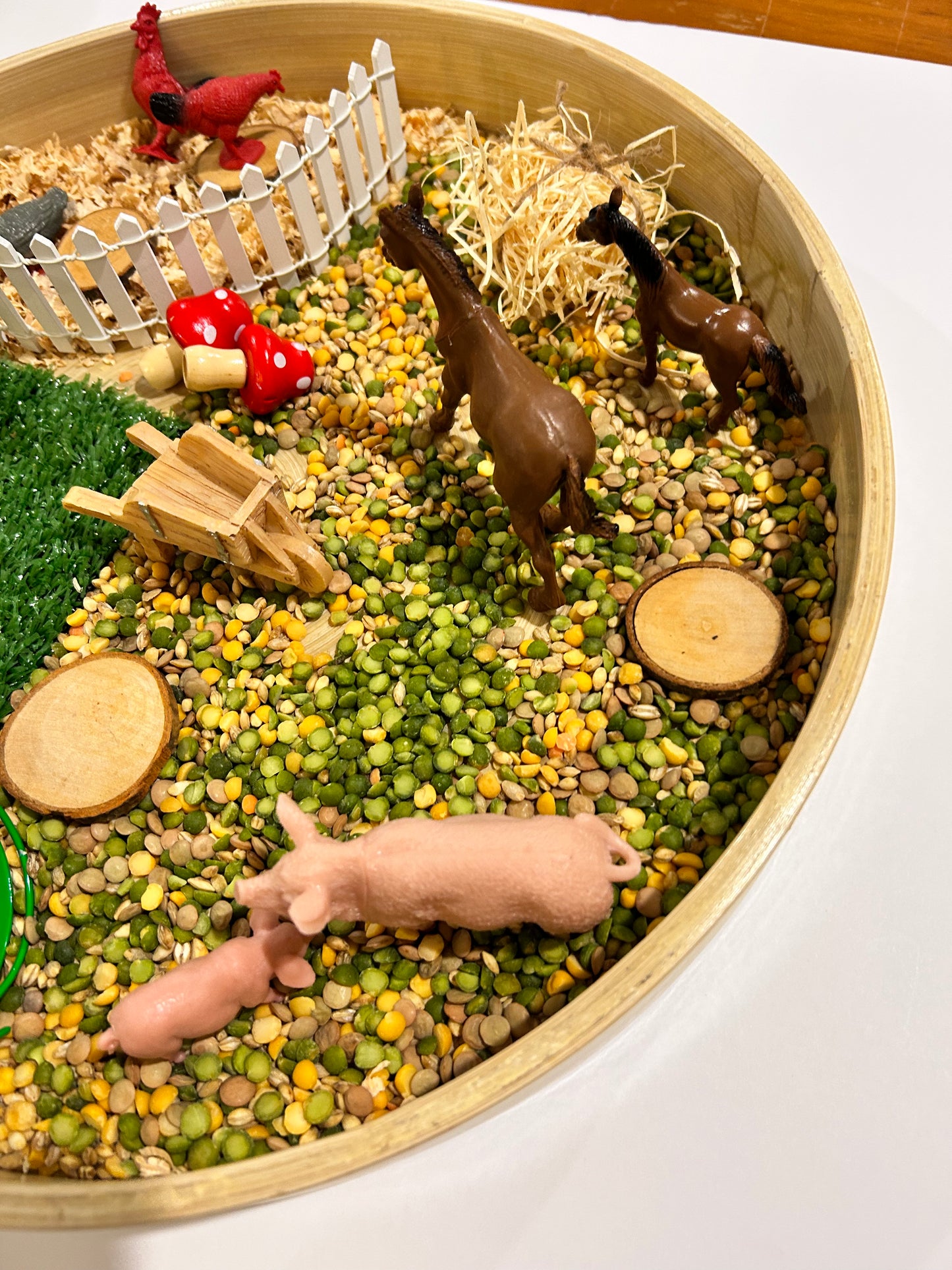 Farm Animals Sensory Kit