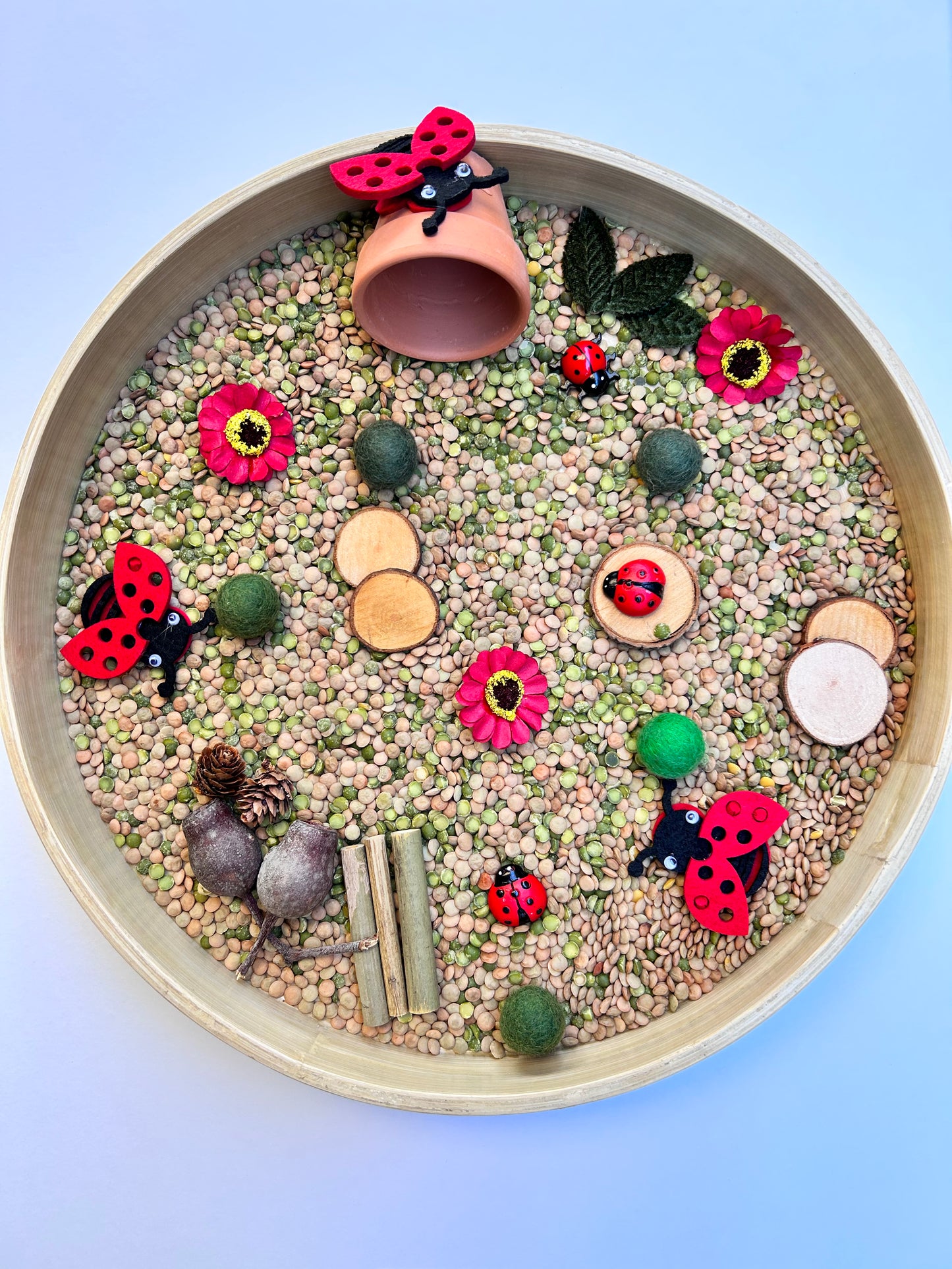 Ladybug sensory kit