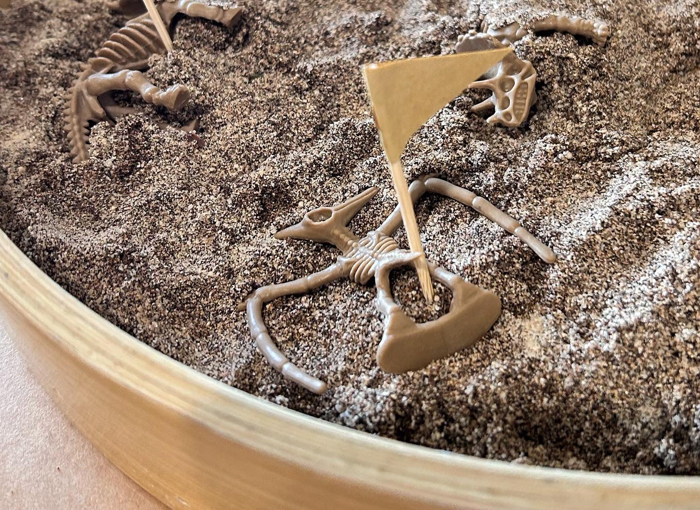 Dino Fossil Dig kit