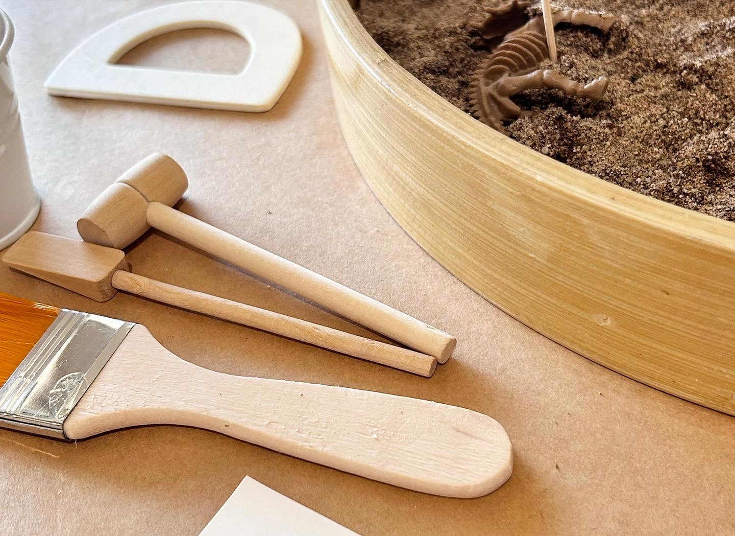 Dino Fossil Dig kit