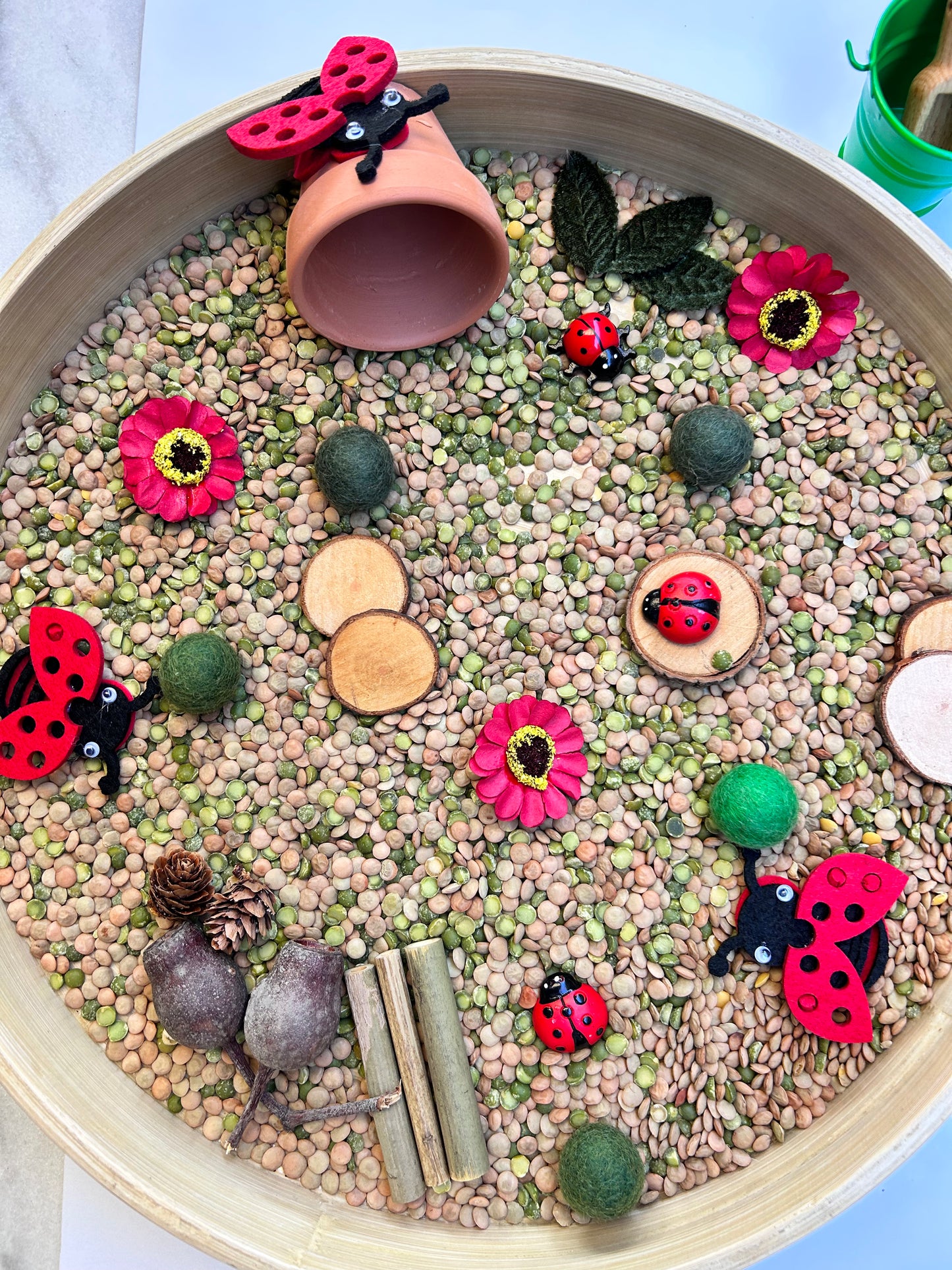 Ladybug sensory kit