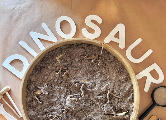 Dino Fossil Dig kit