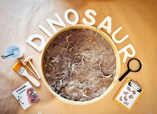 Dino Fossil Dig kit