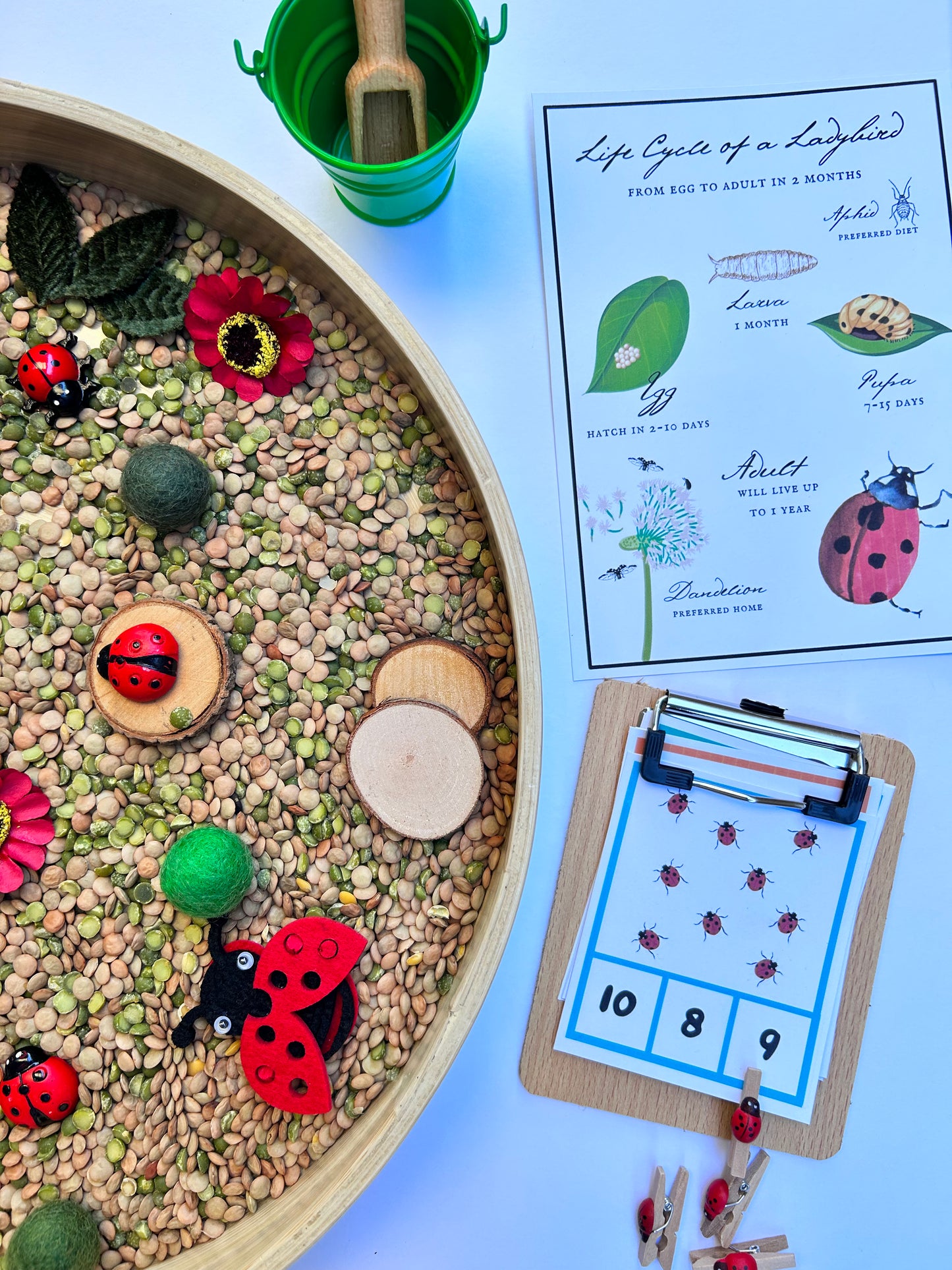 Ladybug sensory kit