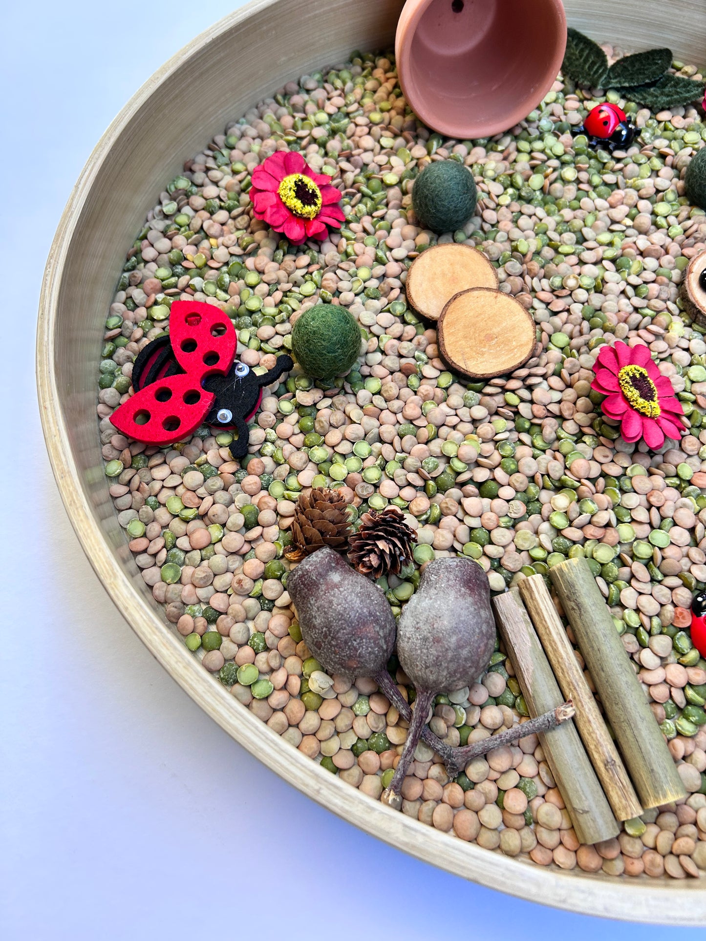 Ladybug sensory kit