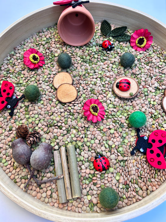 Ladybug sensory kit