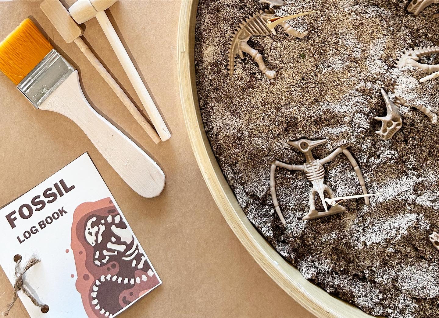 Dino Fossil Dig kit