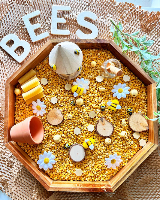 Honey and Bees sensory kit
