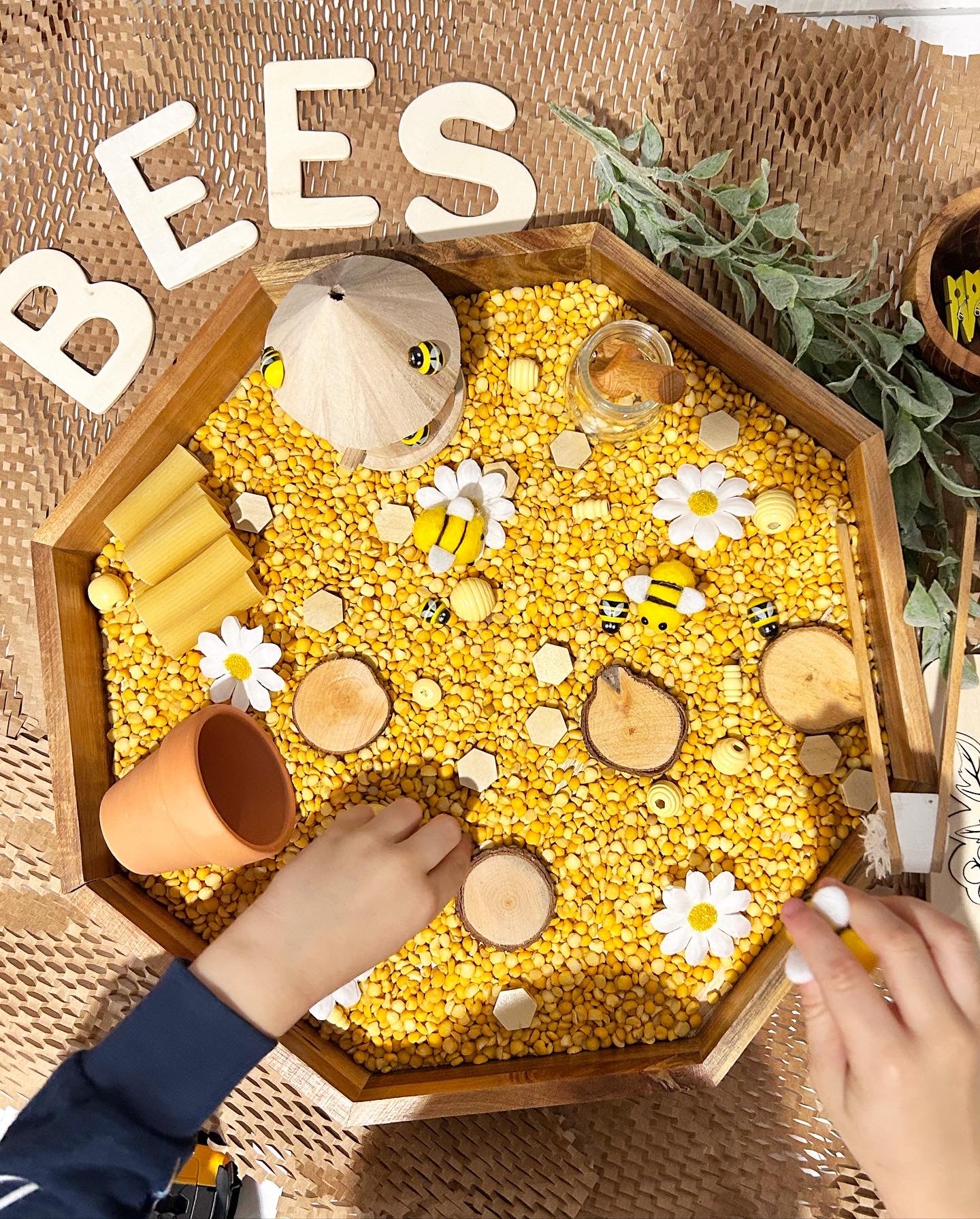 Honey and Bees sensory kit
