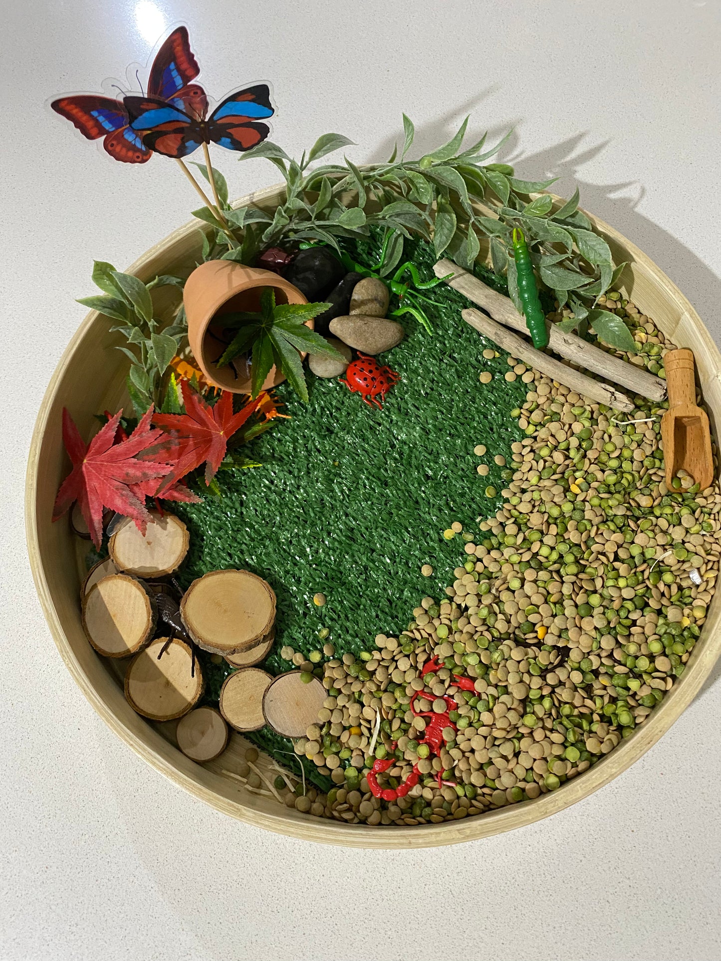 Bugs life sensory kit