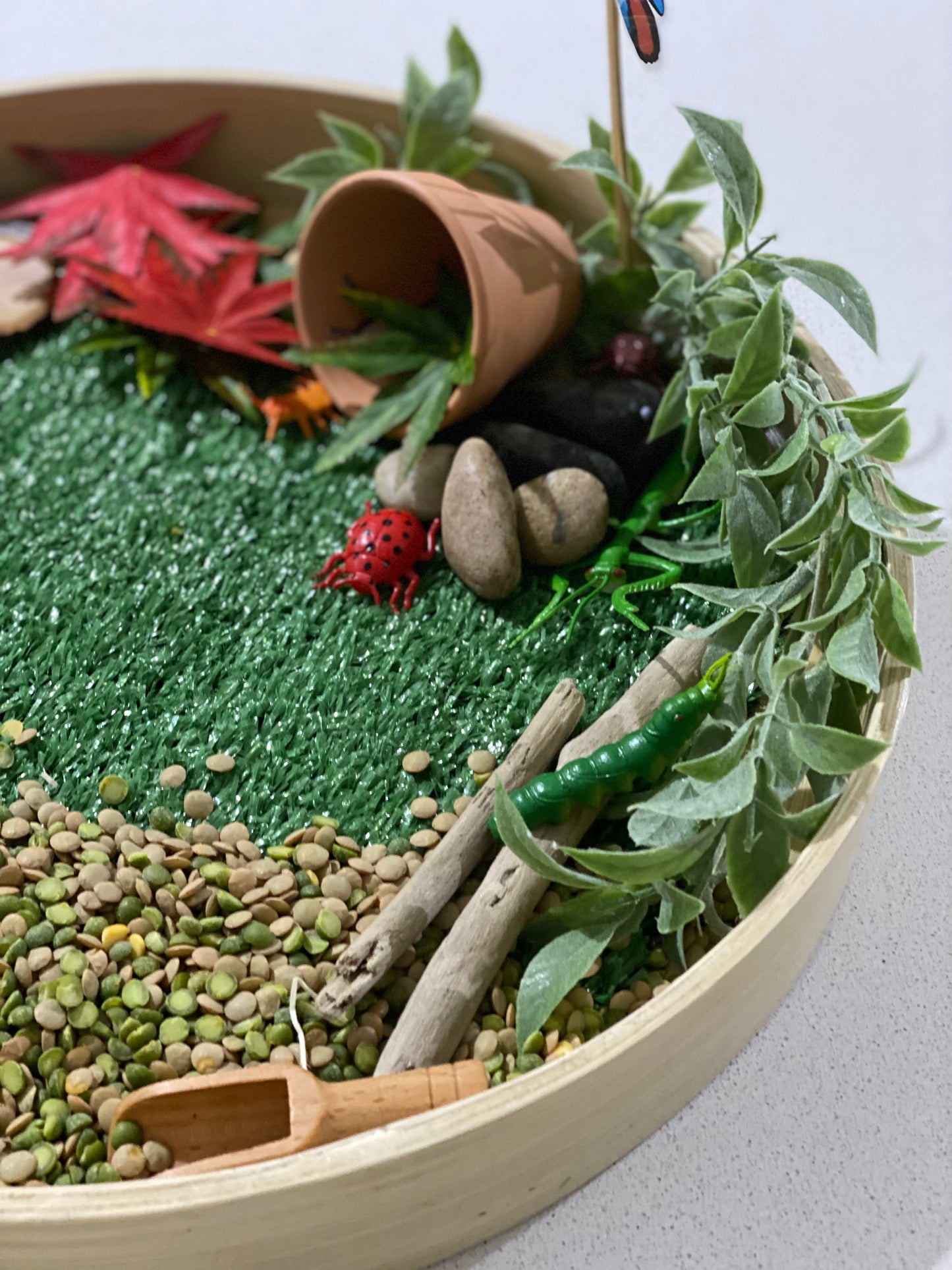 Bugs life sensory kit