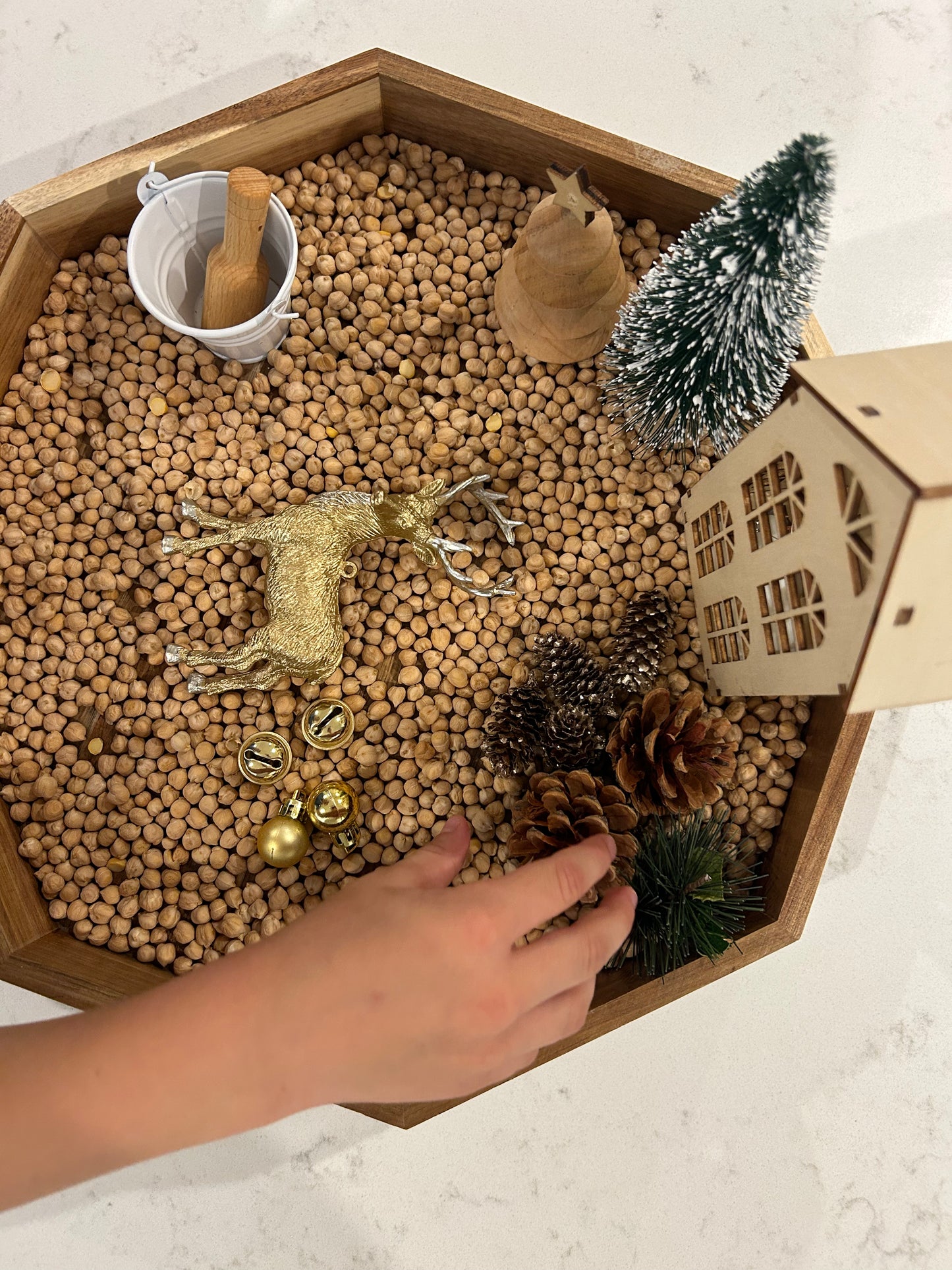 Golden Stag Christmas sensory kit