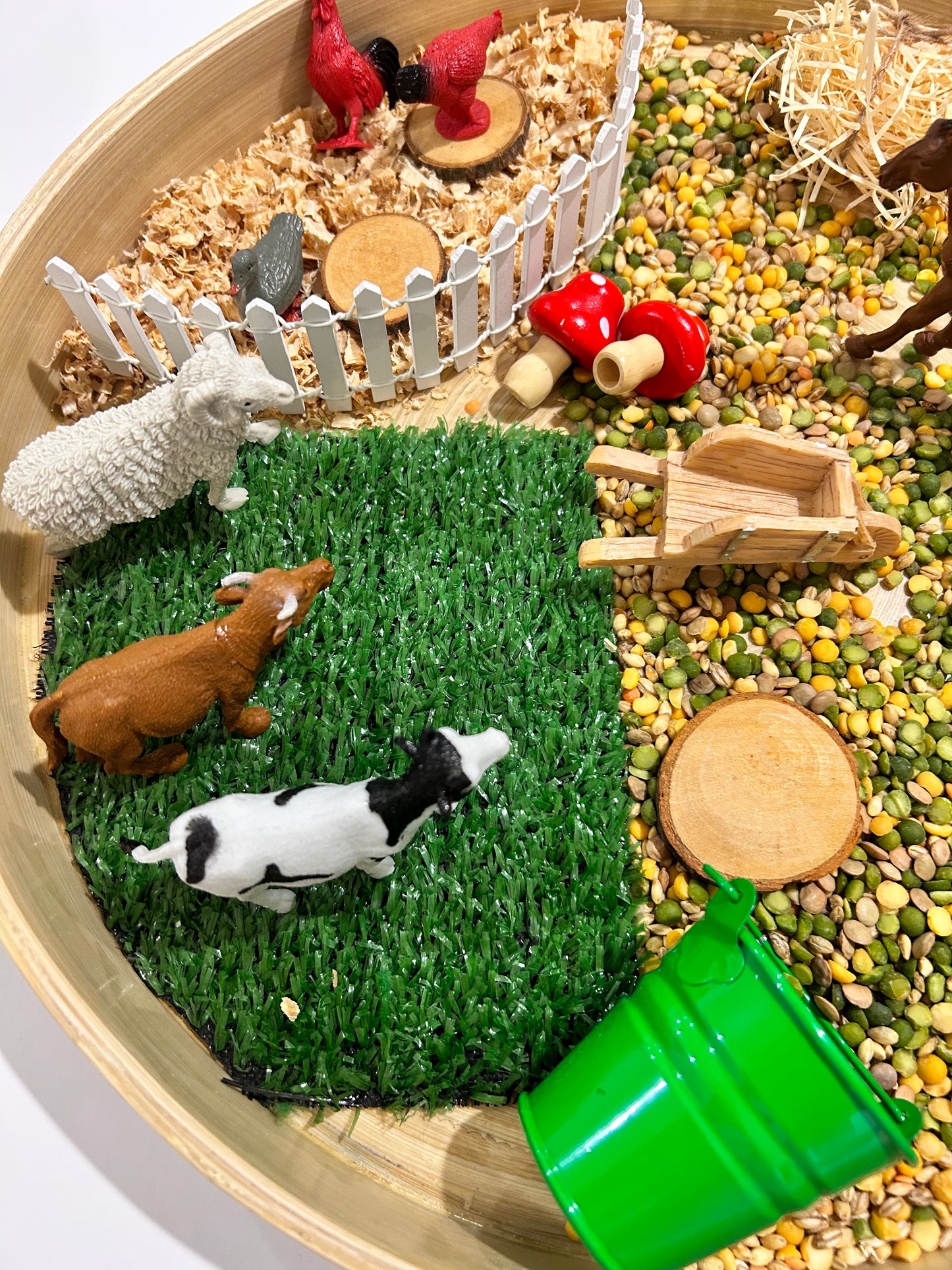 Farm Animals Sensory Kit