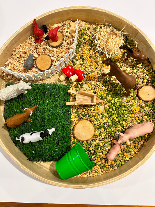 Farm Animals Sensory Kit