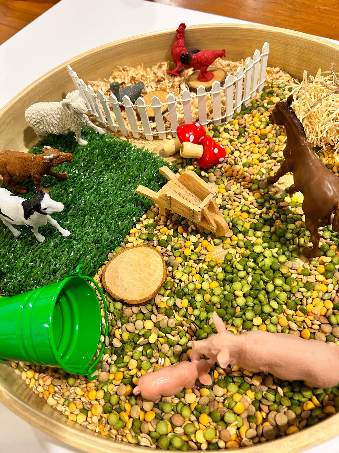 Farm Animals Sensory Kit