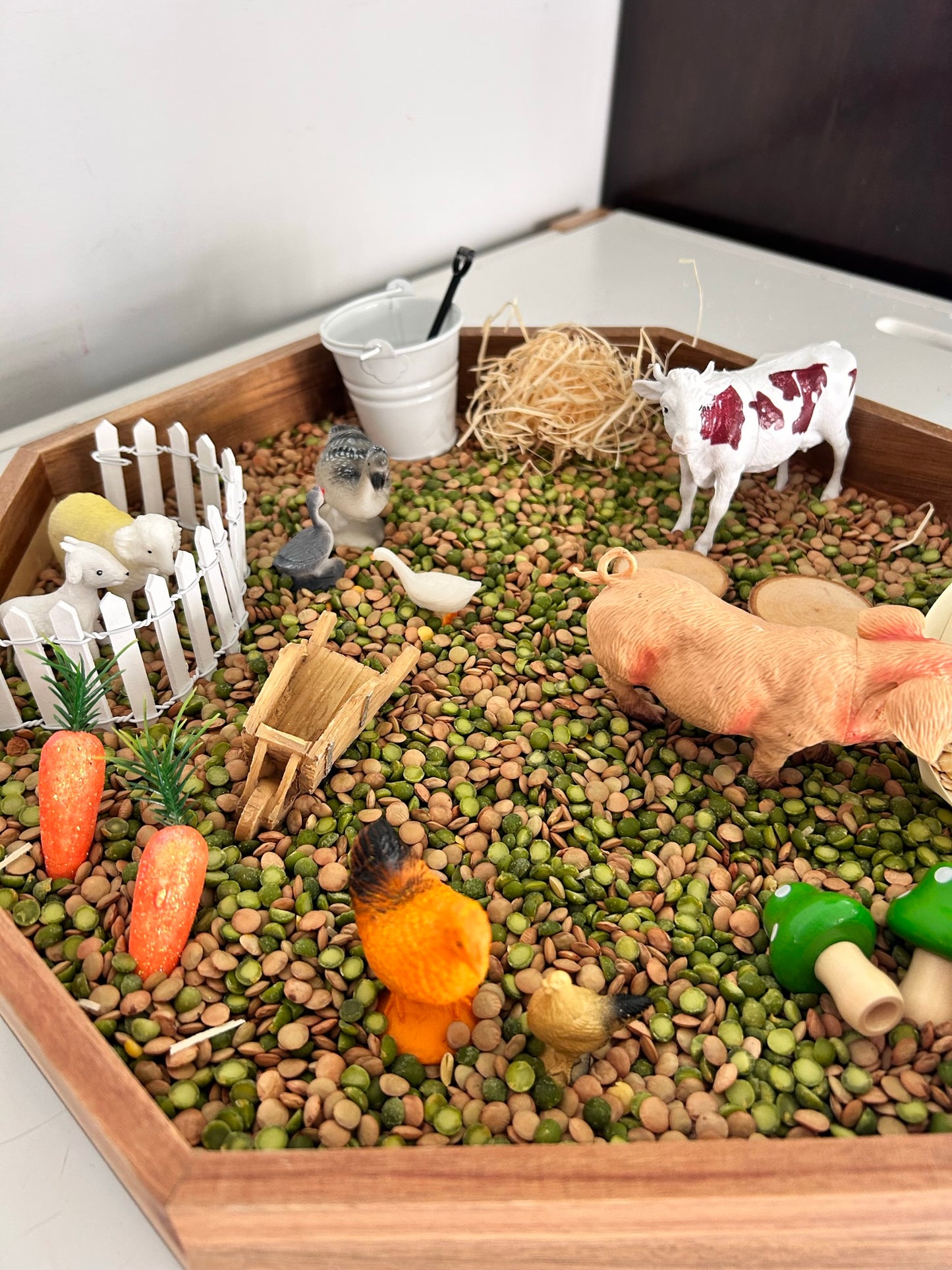 Farm Animals Sensory Kit