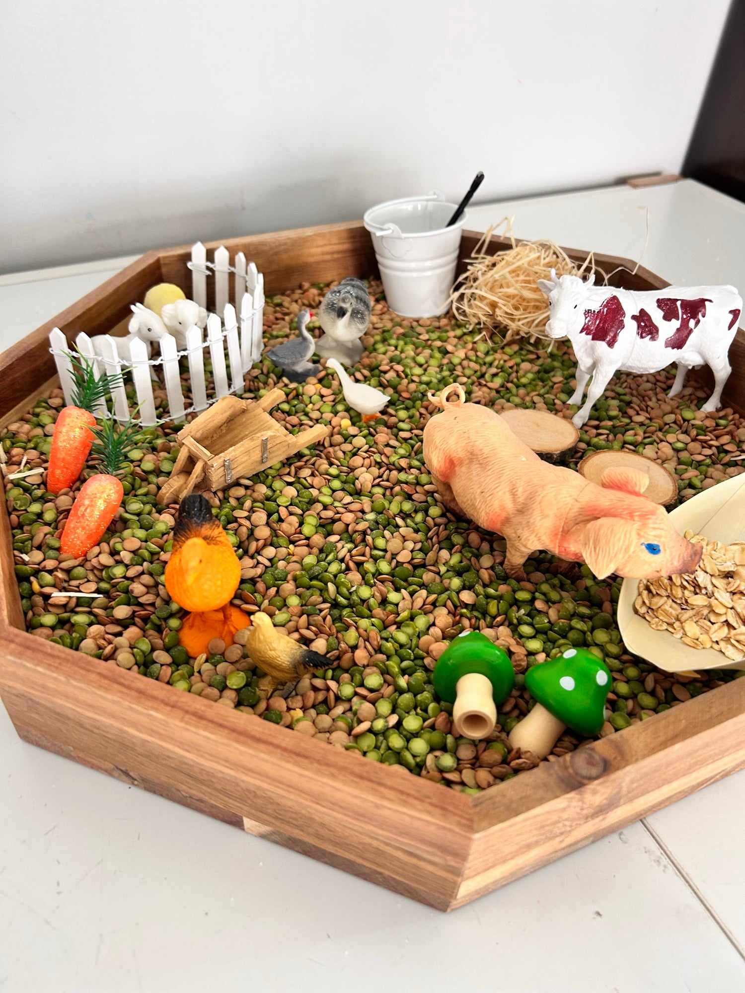 Farm Animals Sensory Kit – traysforplays - Main Image