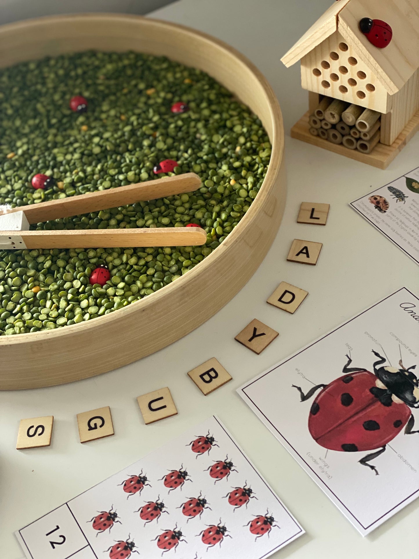 Bamboo Play Tray